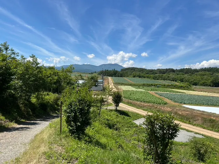 宿から望む佐久の田園と山並み